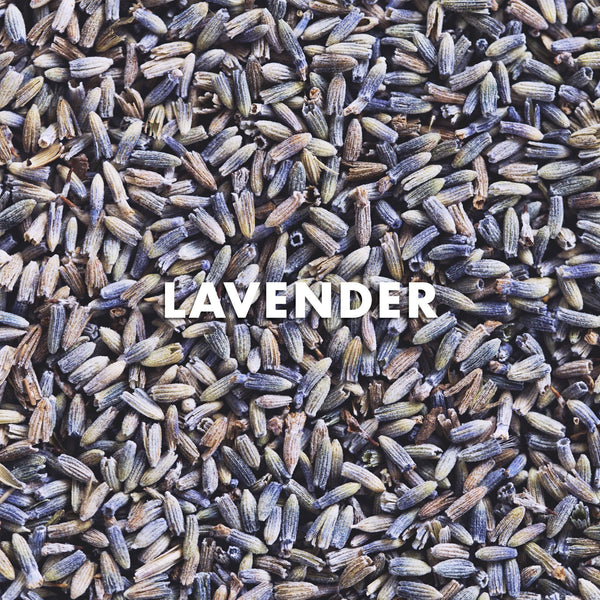 Ingredientes: Lavanda-The Green Beauty Concept