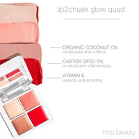 Lip2Cheek Glow Quad Mini