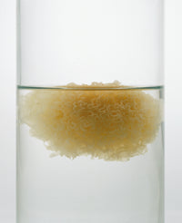Raisi Hydrating Serum