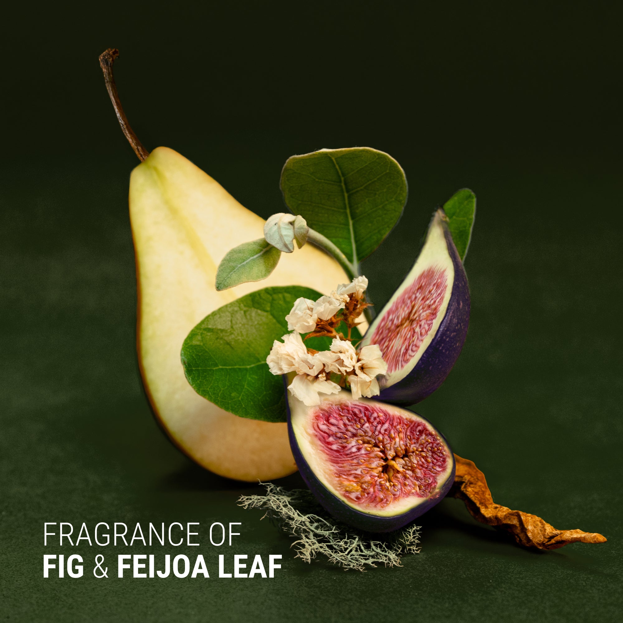 Fig+Feijoa Repair & Nourish Conditioner