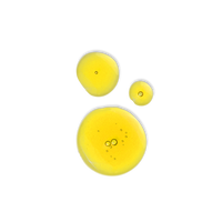 Evolve Bio-Retinol + C Booster (Óleo de Rosto)