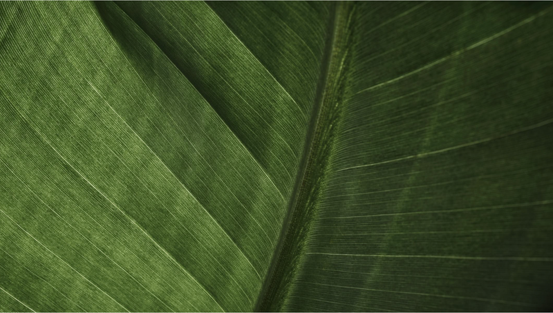 Screenshot_16
